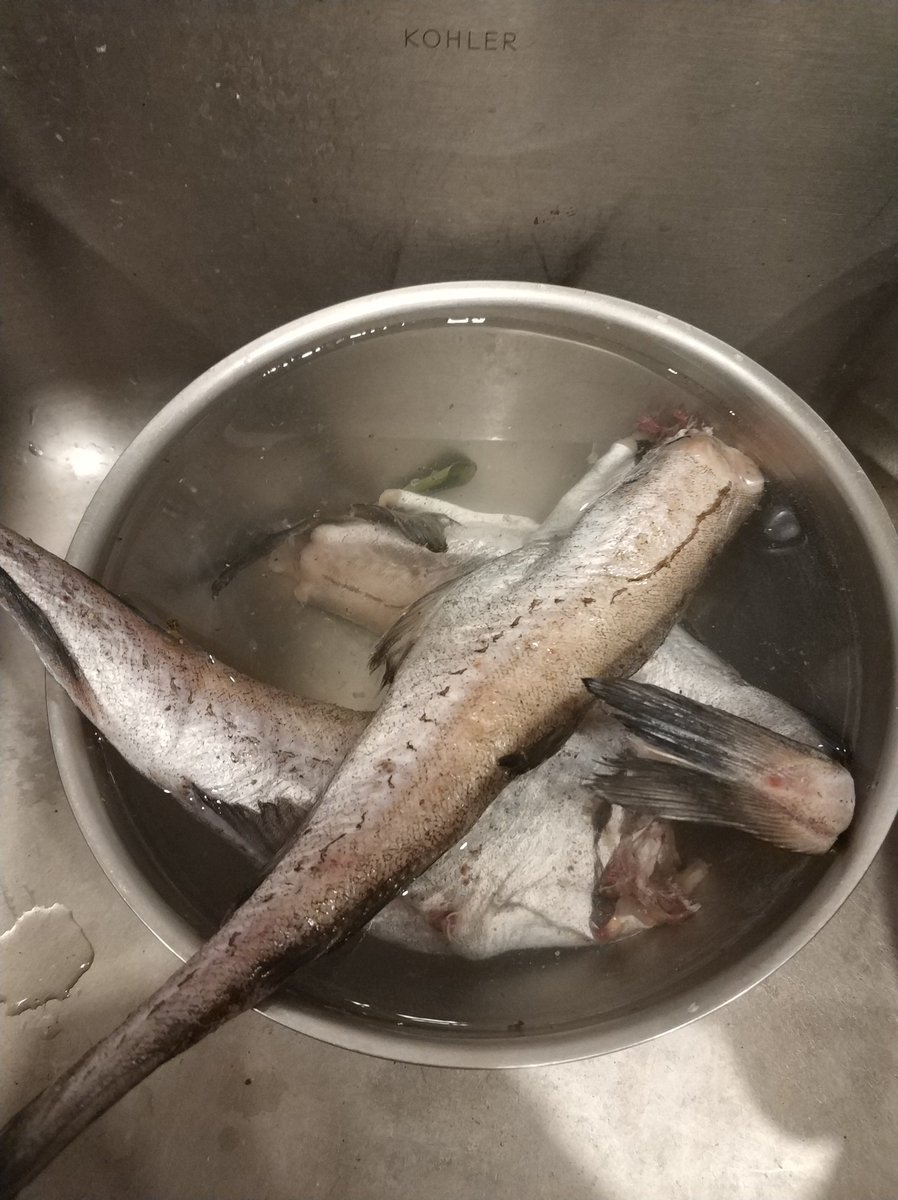 文涛on Twitter 今日宵夜 红烧鱼块之怀旧版 原料是水鳕鱼 大概算是最便宜的冻品海鱼 永辉卖六到八块一斤 九十年代初在北京念大学 食堂就两款鱼换着卖 水鳕鱼和白鲢鱼 默契度着学生的消费水平 文涛on Twitter 今日宵夜 红烧鱼块之怀旧版 原料是水鳕鱼 大概算是最便宜的冻品海鱼 永辉卖六到八块一斤 九十年代初在北京念大学 食堂就两款鱼换着卖 水鳕鱼和白鲢鱼 默契度着学生的消费水平
