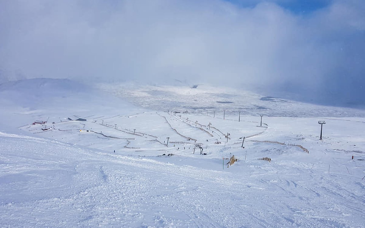 TeleSkiSnow's tweet photo. It's been an epic week of snowfall at Scottish ski resorts - so is it worth the drive this weekend?

https://t.co/hcZgkUVyVw https://t.co/xXnLl5NJSE