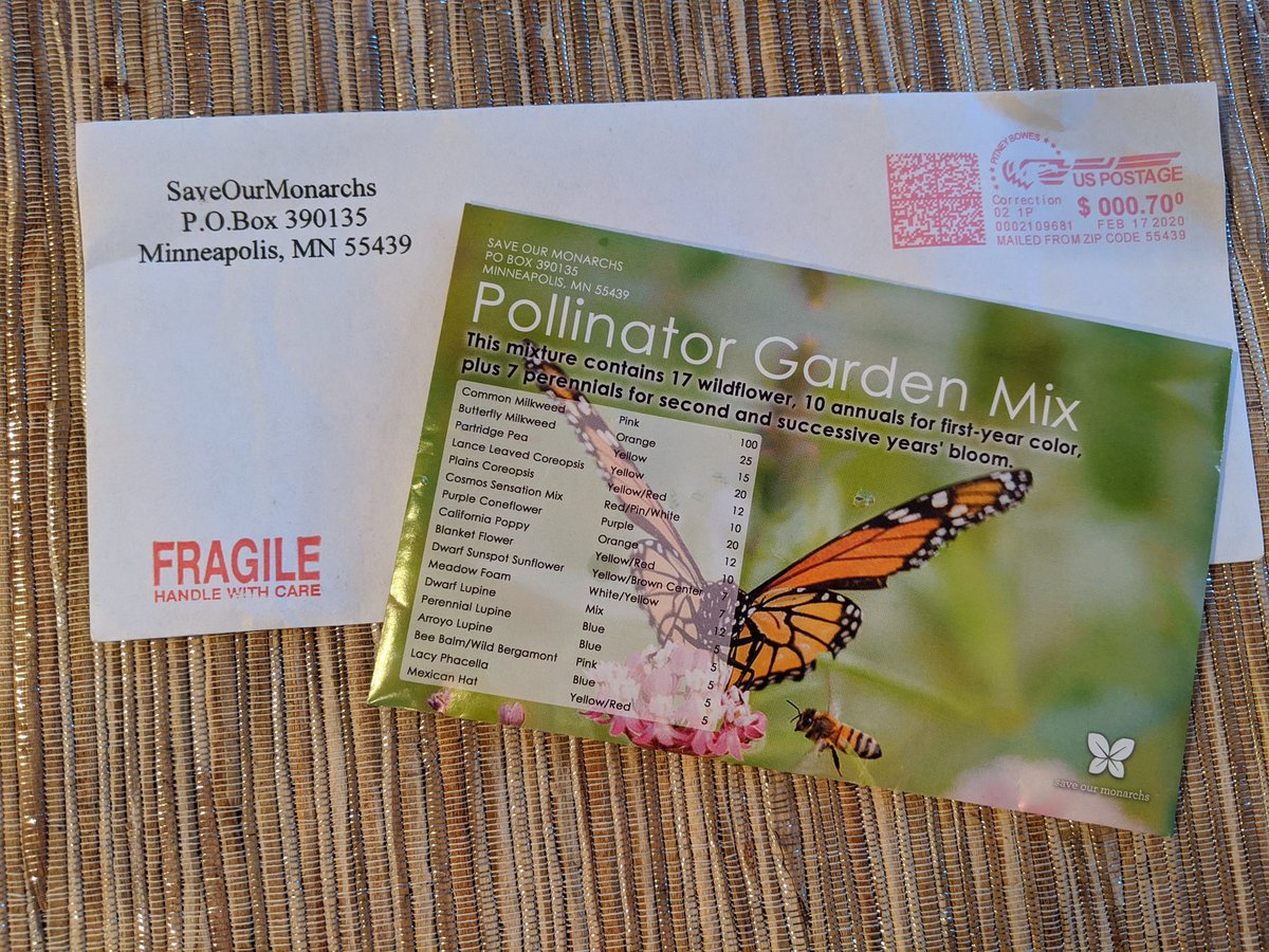 DTES_Landscape tweet media