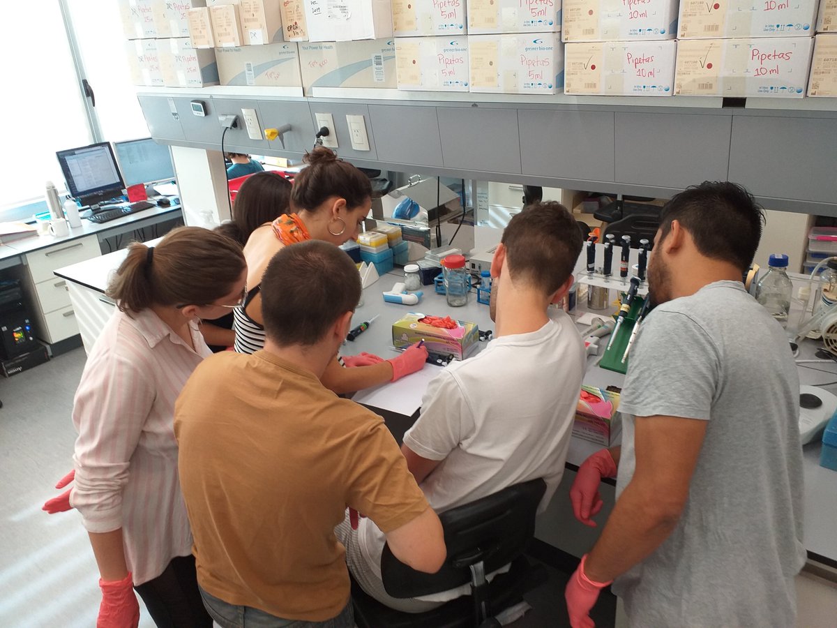 IBioBA_MPSP's tweet image. Otra jornada a puro experimento para l@s estudiantes de @UBAMedicina de la mano del investigador @SebasGiusti.
Estuvieron visualizando los resultados haciendo una electroforesis en gel de ADN. 
#SomosIBioBA #Medicina #evidencia #adn #forensics