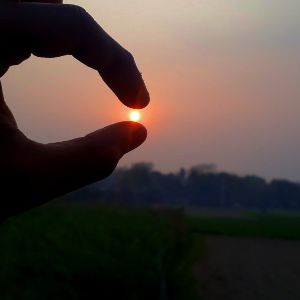 world_robin's tweet photo. Sunset photo

#photographylovers #photographer #photo https://t.co/DV4cz92xw8