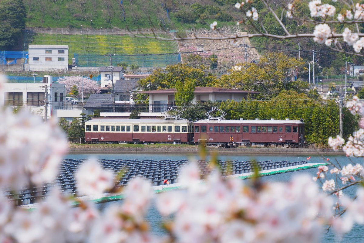「こういう「電車のオタク以外にも安心して見せられるタイプの写真」みたいなやつをもう」|虻✈️C101ありがとうございましたのイラスト