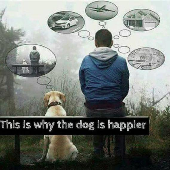 balasankaran's tweet photo. #AMEN...... Live in the moment https://t.co/LGlzR0OHOw