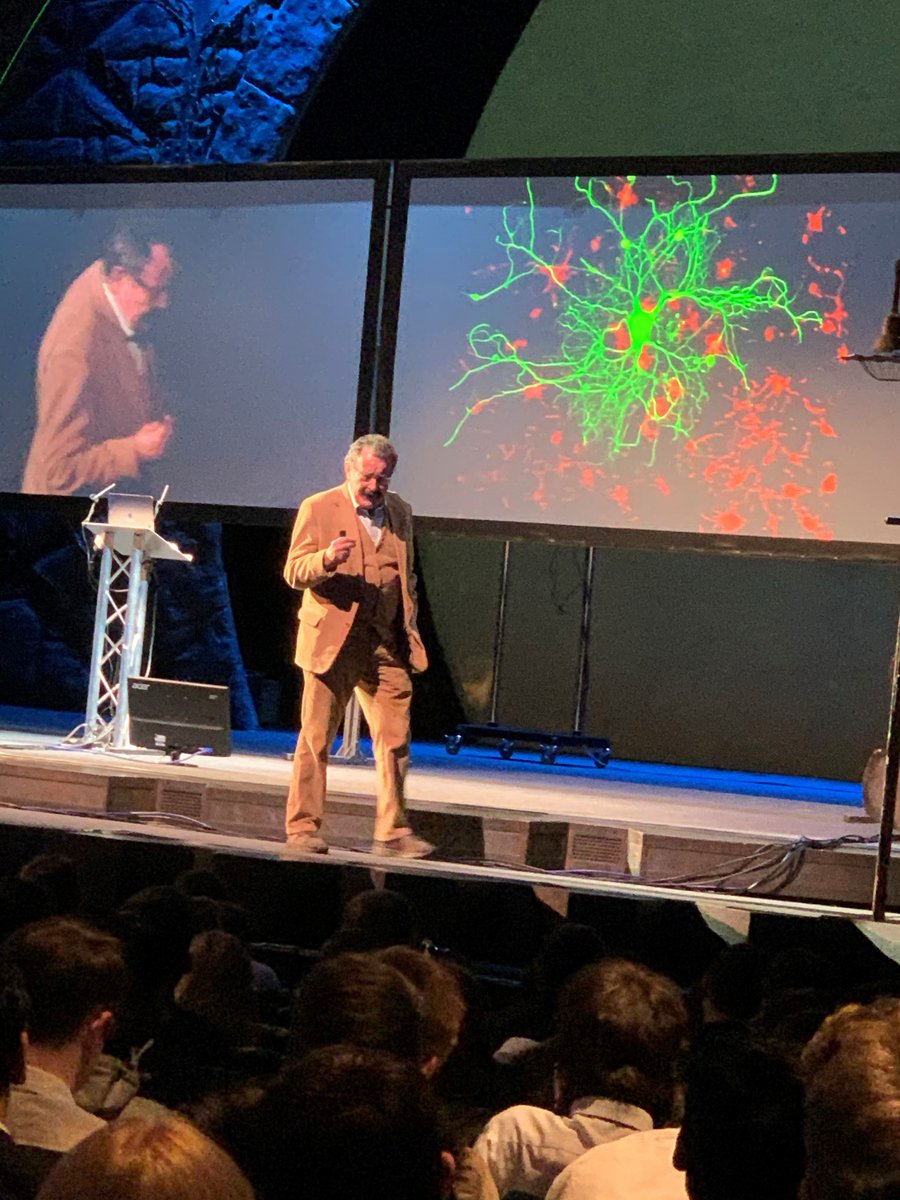 Haberdashers' Crayford Academy tweet media