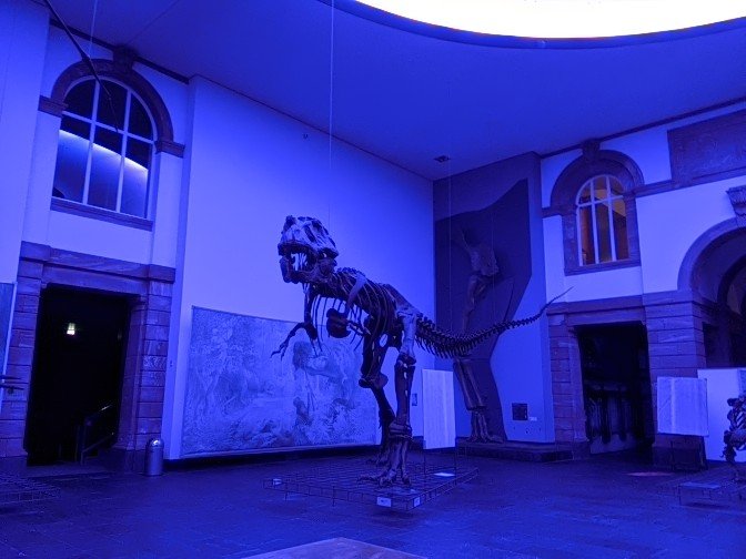 kara_dicks's tweet photo. #ConsGen20 has been awesome! Thanks for all the great talks, posters, discussions and dinosaurs. Looking forward to seeing everyone again at the next one! #ConsGen22 https://t.co/kUTdZxWxIV
