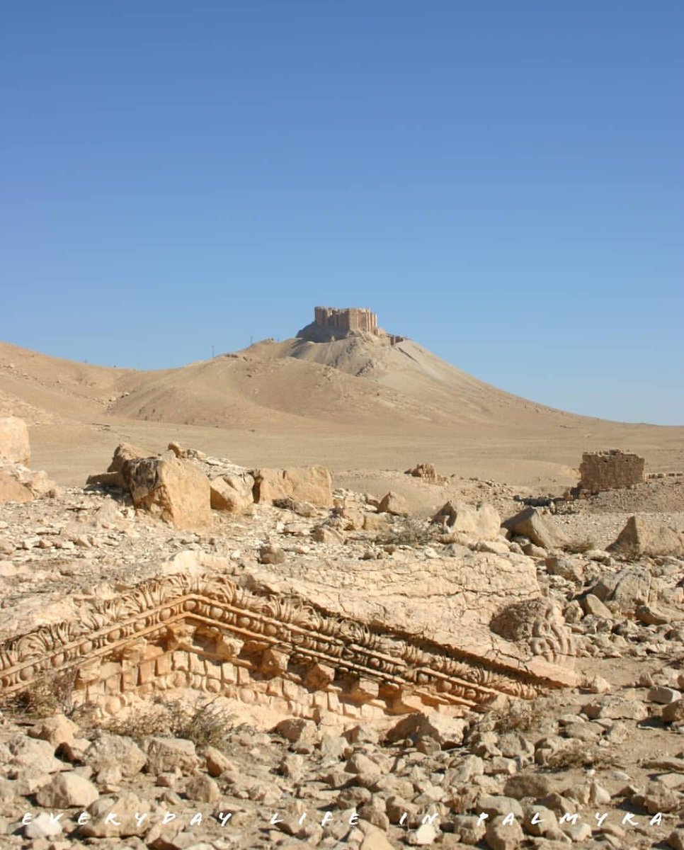 SokolowskiLuk's tweet photo. What I always found most fascinating about #Palmyra is how much of the city still waits for archaeologists. Here the remains of the architrave, carved in local stone, possibly decorating larger architectural complex or just a small #naiskos. Source: #EverydayLifeinPalmyra https://t.co/qfMuOhuXzY