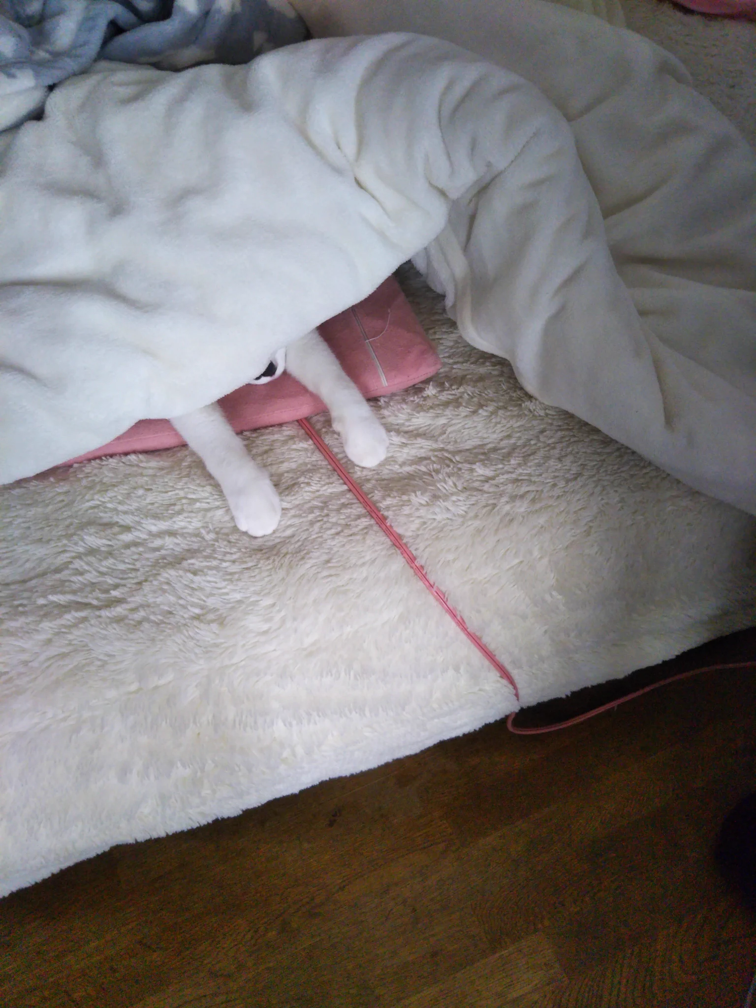 幸せそうな猫ちゃん・コタツの中は天国ｗｗｗパターンがいっぱいｗｗｗ