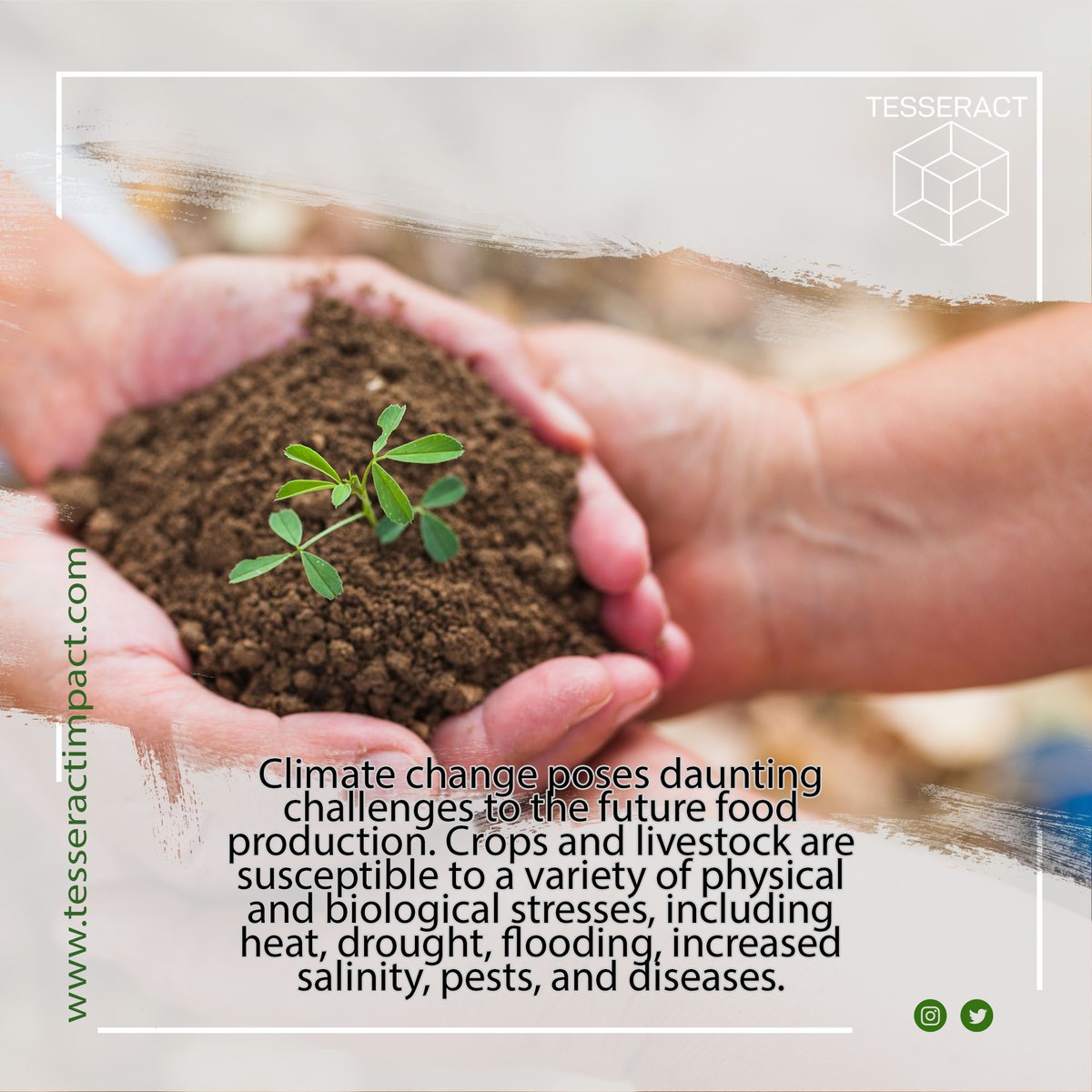 tesseractimpact's tweet photo. These stresses are likely to be exacerbated in places with higher temperatures and changing precipitation patterns due to climate change. #CropInsurance #RiskManagement #Chainlink #farm #farmer #crop #climatechange

Source: https://t.co/eFpYDiKLGI https://t.co/rvKD7a4K4E