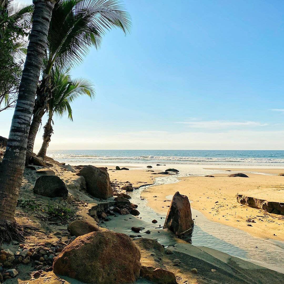 No es necesario ser huésped para disfrutar un menú delicioso junta al mar y con los pies en la arena. 

Reserve now:
book.imantaresorts.com
Tel. +52 (329) 298 42 00 / +52 (329) 298 42 42
info@imantaresorts.com

#PuntadeMita #Mexico #RivieraNayarit #virtuoso #travel