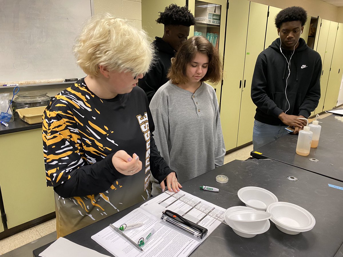 absmith_IHS's tweet photo. #APBio students share the results of pGLO bacterial transformation inquiry experiments. Pictured are changes in the amount of ampicillin and changes in the amount of arabinose- a sugar that turns on the GFP jellyfish gene. #ThisIsIrmo #pGLO #BioRad https://t.co/FVwJqdjaCm