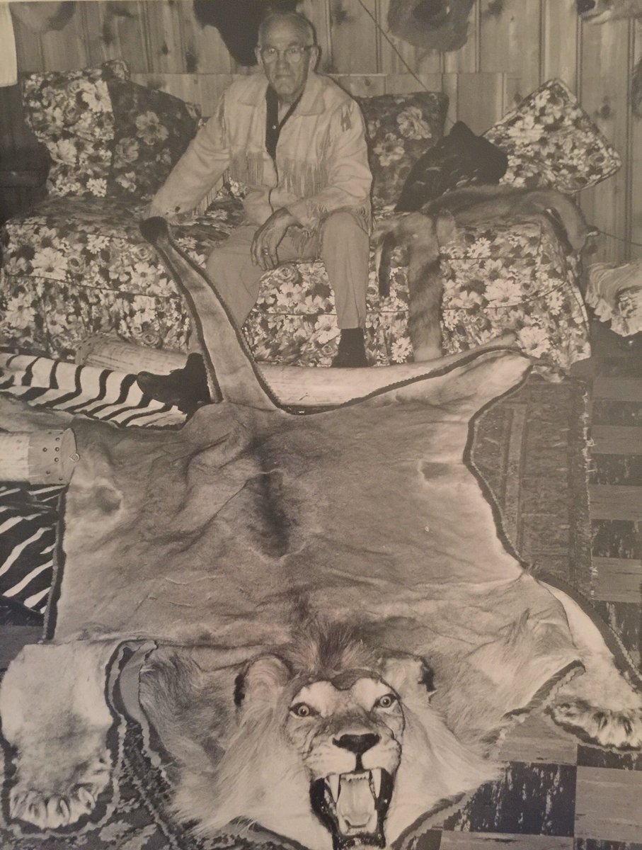 MaturingScott's tweet image. My great-grandfather shot this lion, at the age of 72, from a distance of 6 feet after it jumped out of some brush, mauled the local guide, and knocked him on his ass.