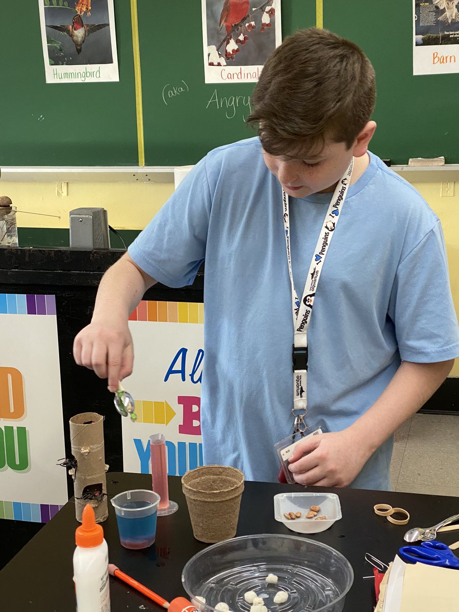 TerryRenna7's tweet image. Ms. Wansor’s students testing out the bird beaks they designed and created...what foods did they pick up best??? 🦜🦩🦆🦅 #studentcreations #Engineering #engineeringanddesign @WenWanso @dharls1 @WTClarkeMS @emeadowschools