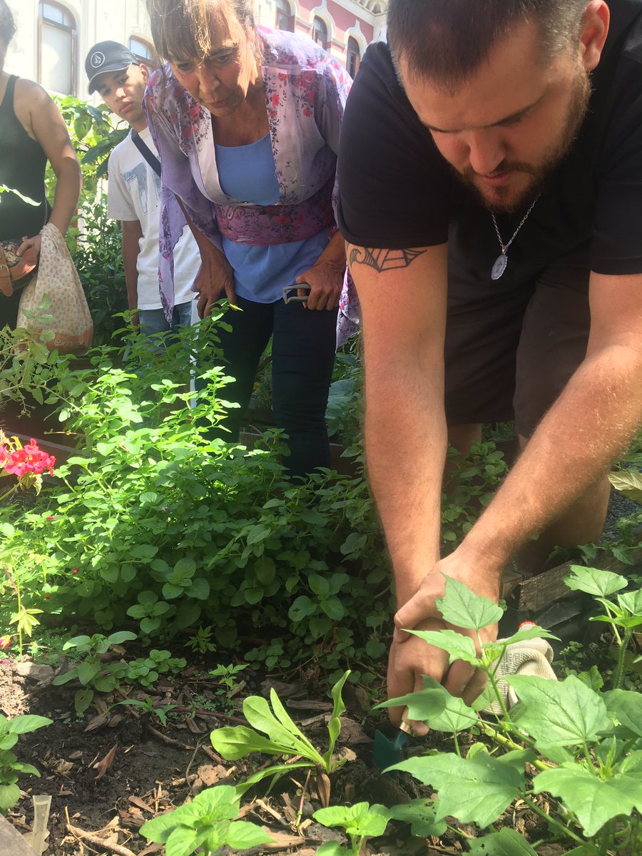 MarPalam's tweet photo. Capacitación “Huerta Organica Urbana” a cargo de  de técnicos del área de #Alimentos de @AgriculturaAR 
Un gran equipo de la #CTEB-Movimiento Evita! 
Se transformaron en multiplicadores y proveedores de un sistema de produccion sostenible! 🍃Felicitaciones!!!! https://t.co/IMf23ENlLX