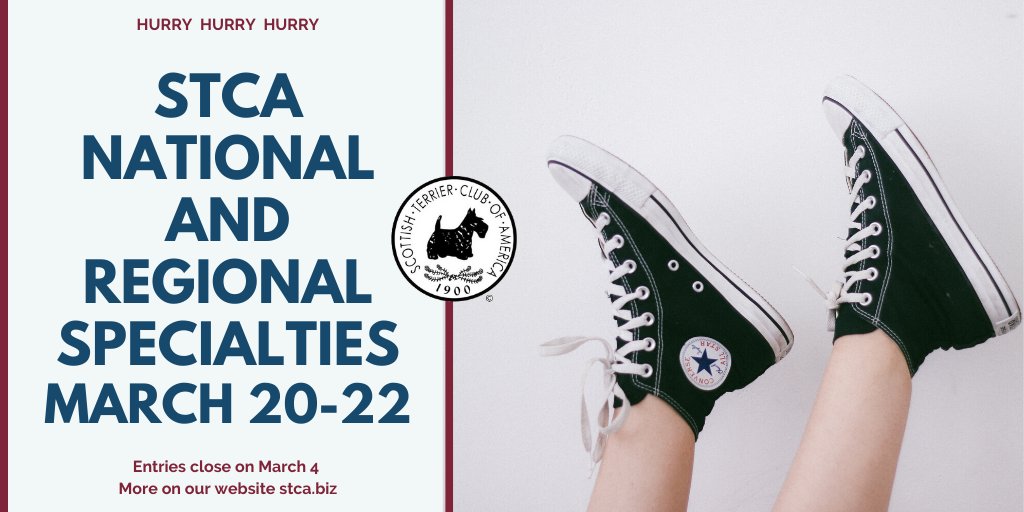 STCAScotties's tweet image. Find more information  at stca.biz/events-program… @akcdoglovers @CLUBSAKC @AKC_Gazette #iamdogshows #scottiegroomersrock