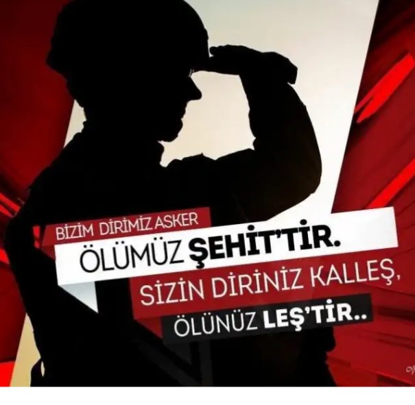Milletimizin başı sağolsun