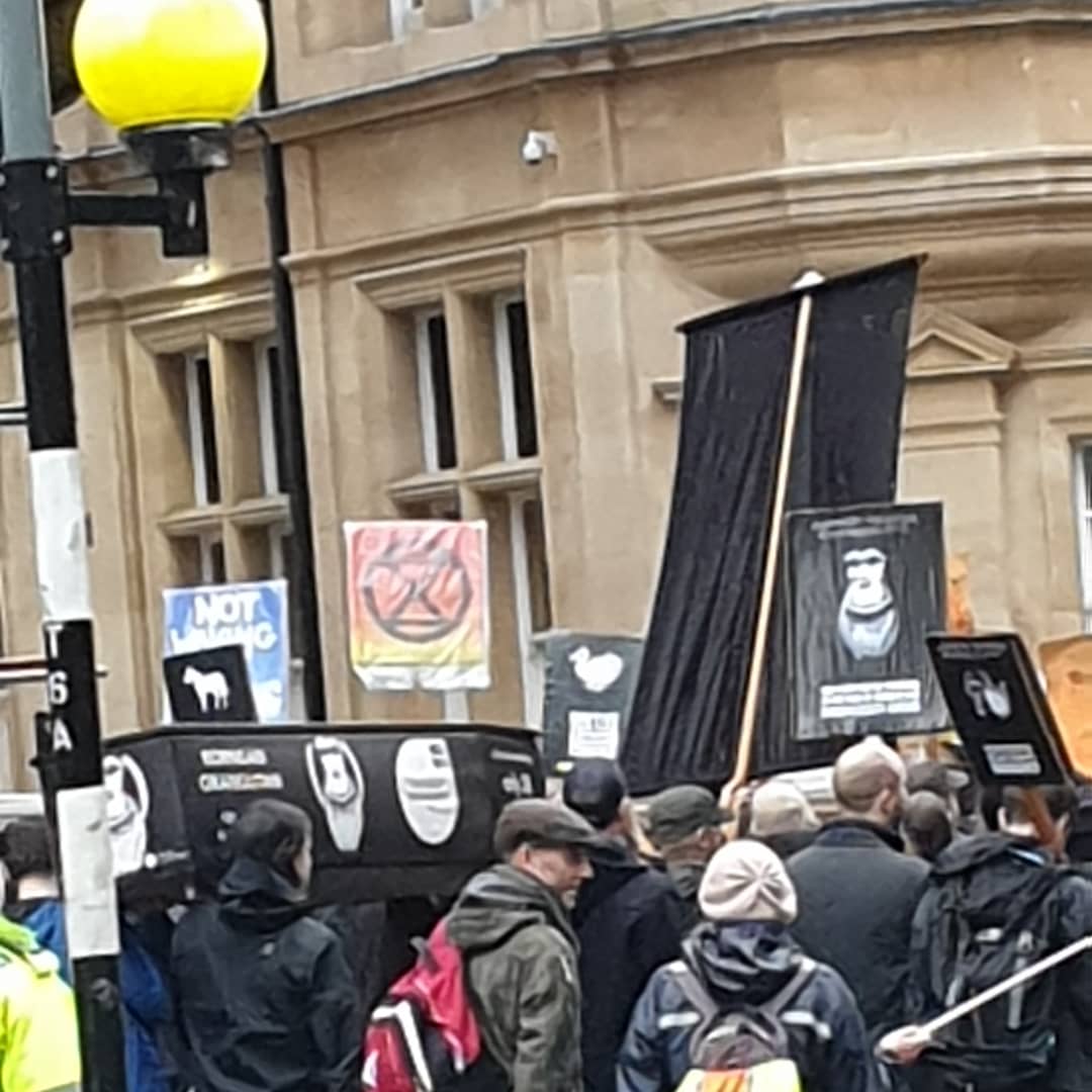 Arrived in Bristol during Greta Thunberg's climate change march. Had to follow close behind as we were looking for a vegan friendly restaurant for lunch. Found one called <a href="/BurgerTheoryUK/">Burger Theory UK</a> #vegan #veganism #glutenfreevegan #ClimateChange #GretaThunberg