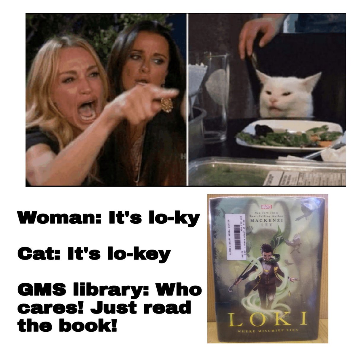 Just when we thought the woman and cat were gone, they show up in the library! 😩