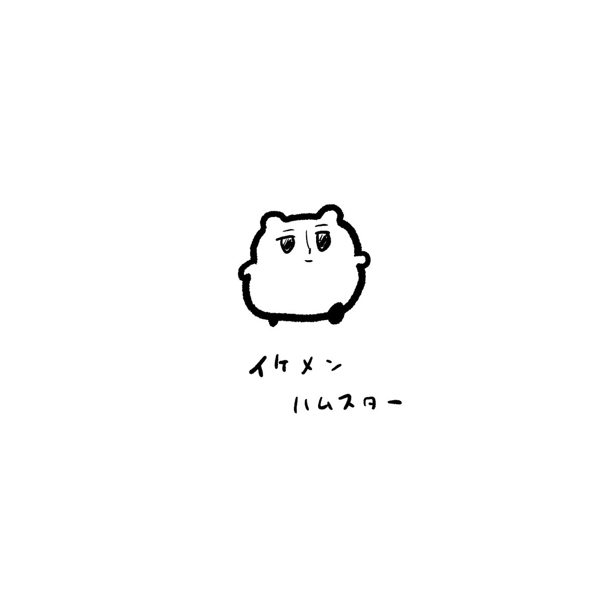 今日のハムスター 