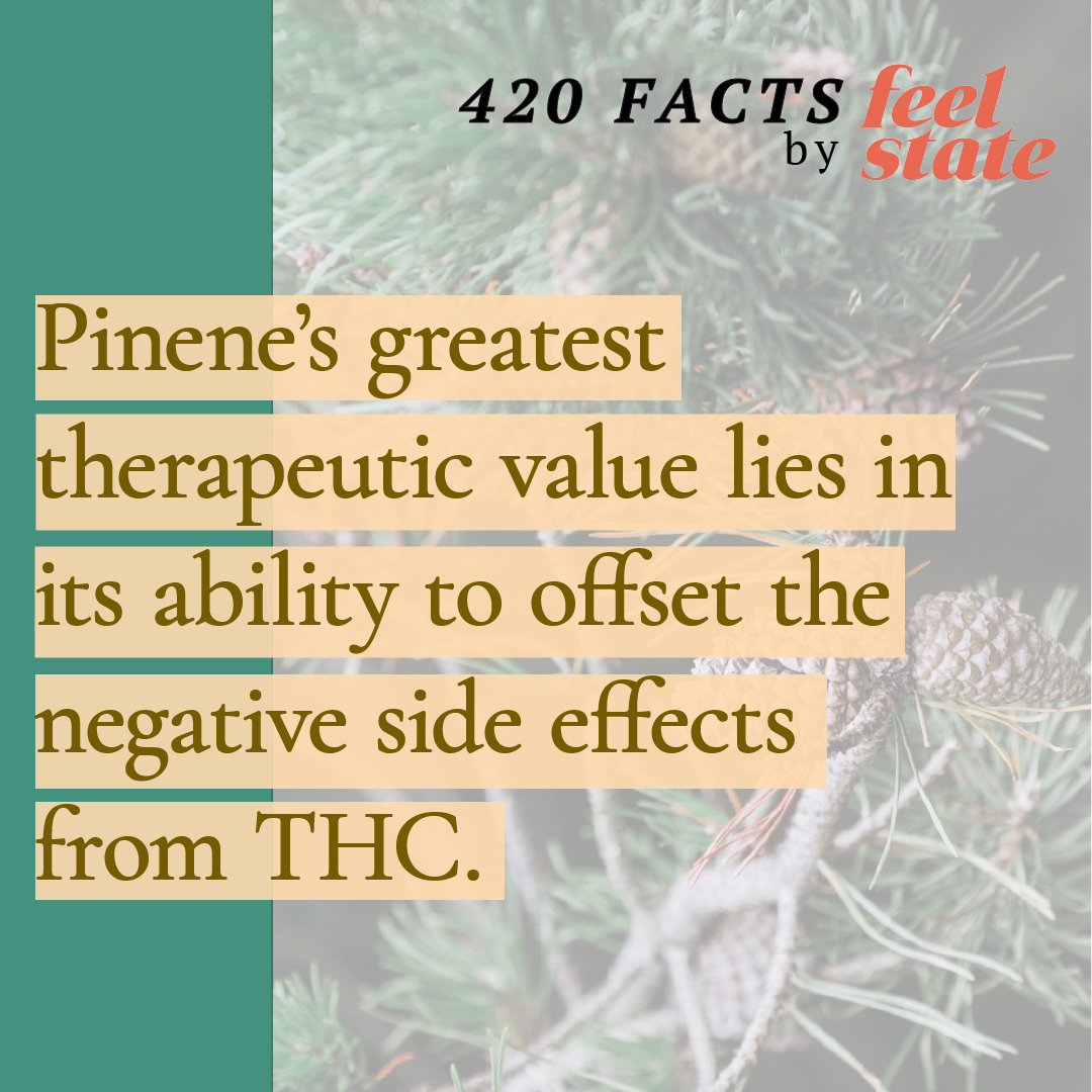 For more info on Pinene, check out the video we just posted on our Feel State YouTube page!
youtube.com/watch?v=tkFDSy…