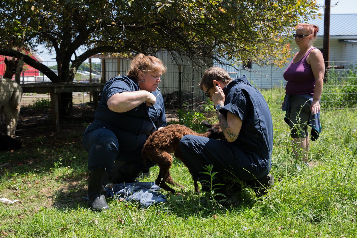 DrPol tweet picture