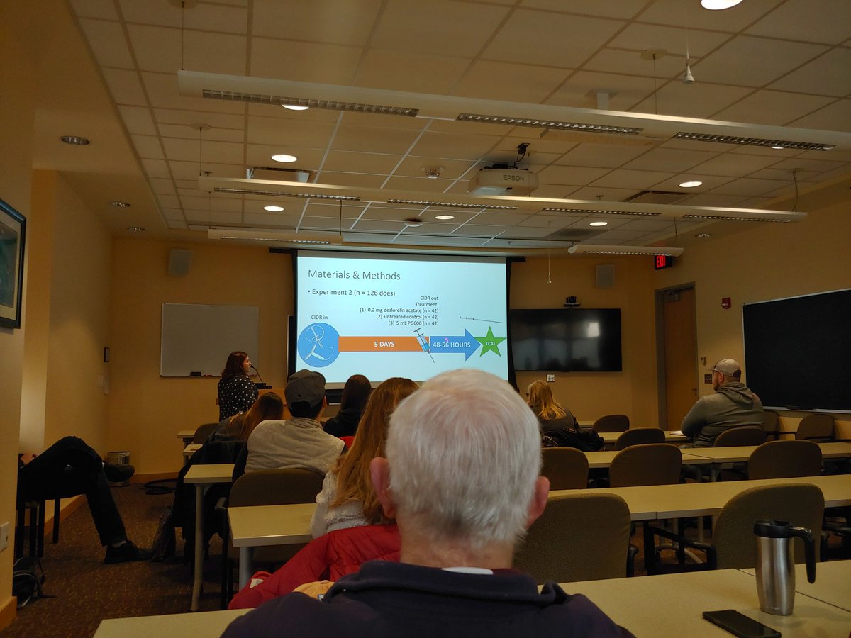 vitormercadante's tweet photo. @JAYthatsMIE6 presenting at #RBC on novel #repro techniques of sheep and goats! @VaMdVetMed @VTCals #VTapsc #reprorocks https://t.co/dkxkSnBa7y