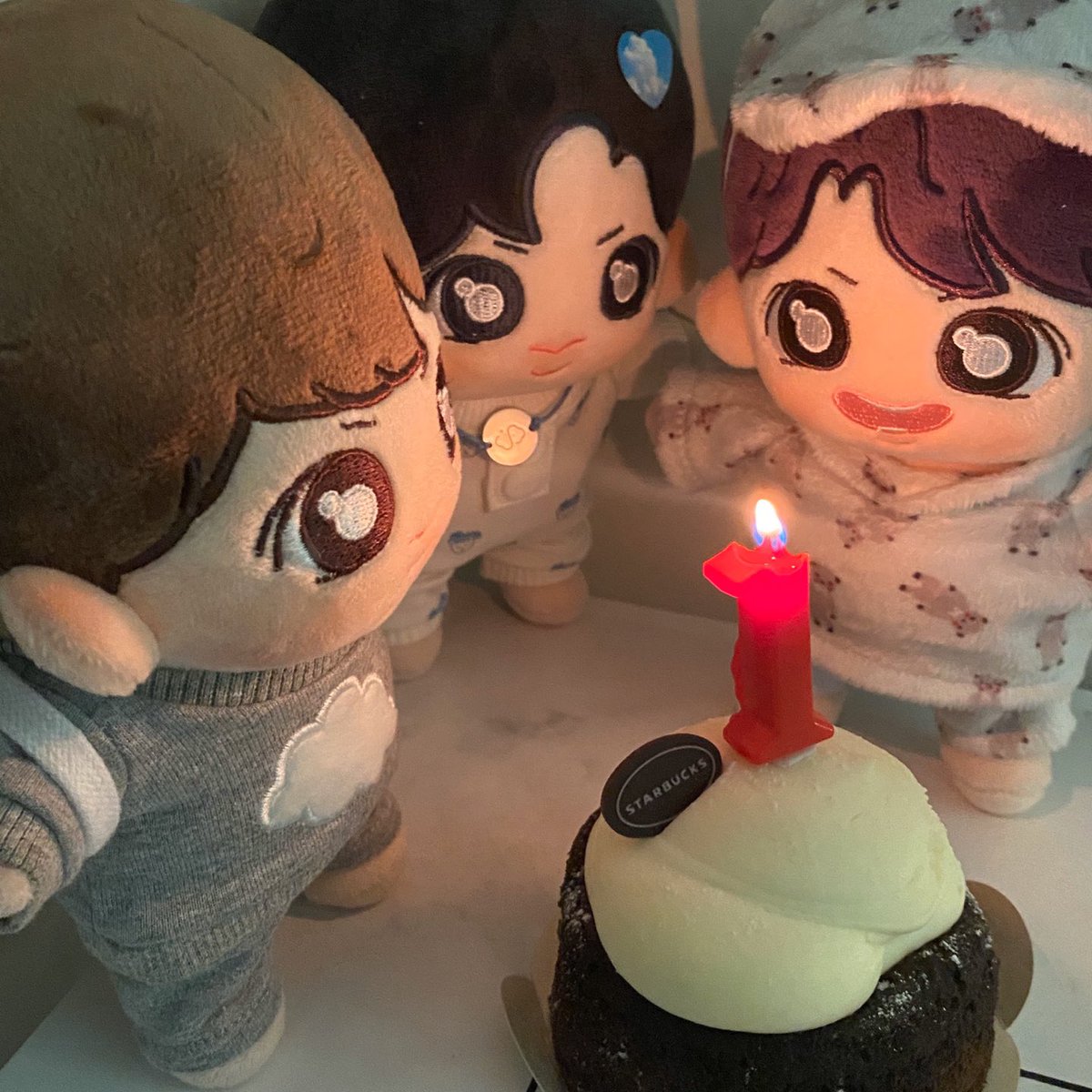 눈나가 생각없이 집에서 나와서.. 칭구네집 아기들과 횽아 일주년 파티💘 
#셍콩 #셍콩이 #형콩이 #깜콩이 #달콩이