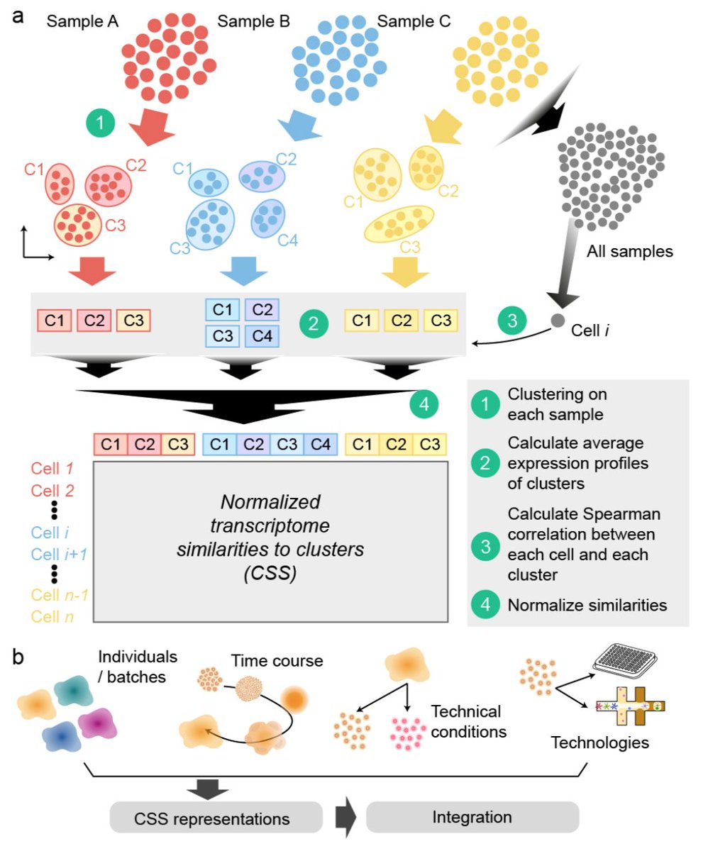 Happy to share our new scSeq data integration method: Cluster Similarity Spectrum. Try it out, it's straightforward and powerful in many scenarios! Great work @zhisong_he @TreutleinLab ! #Organoids #SingleCellGenomics biorxiv.org/content/10.110…