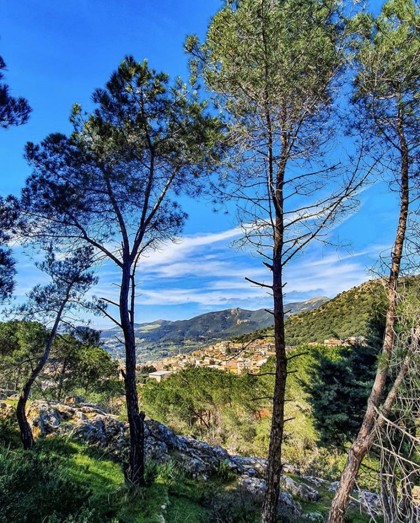 ele_tourism's tweet photo. 📍 Benvenuti ad Arbus! 🥳
📌 Un piccolo centro abitato del #SudSardegna, principalmente conosciuto per le località balneari della #CostaVerde ma è anche costituita da un gruppo di rilievi montuosi come il #MonteLinas e il #MonteArcuentu.
📸 carlasaba1995
#visitsudsardegna https://t.co/4gyIQOGCuF