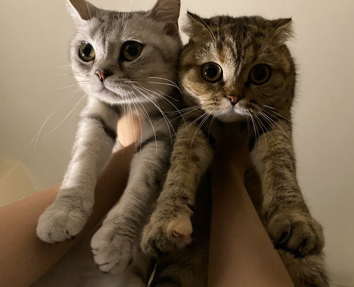 พี่เจ๋งน้องเตี๋ยวไม่ตีกันสิลูกกก tweet media