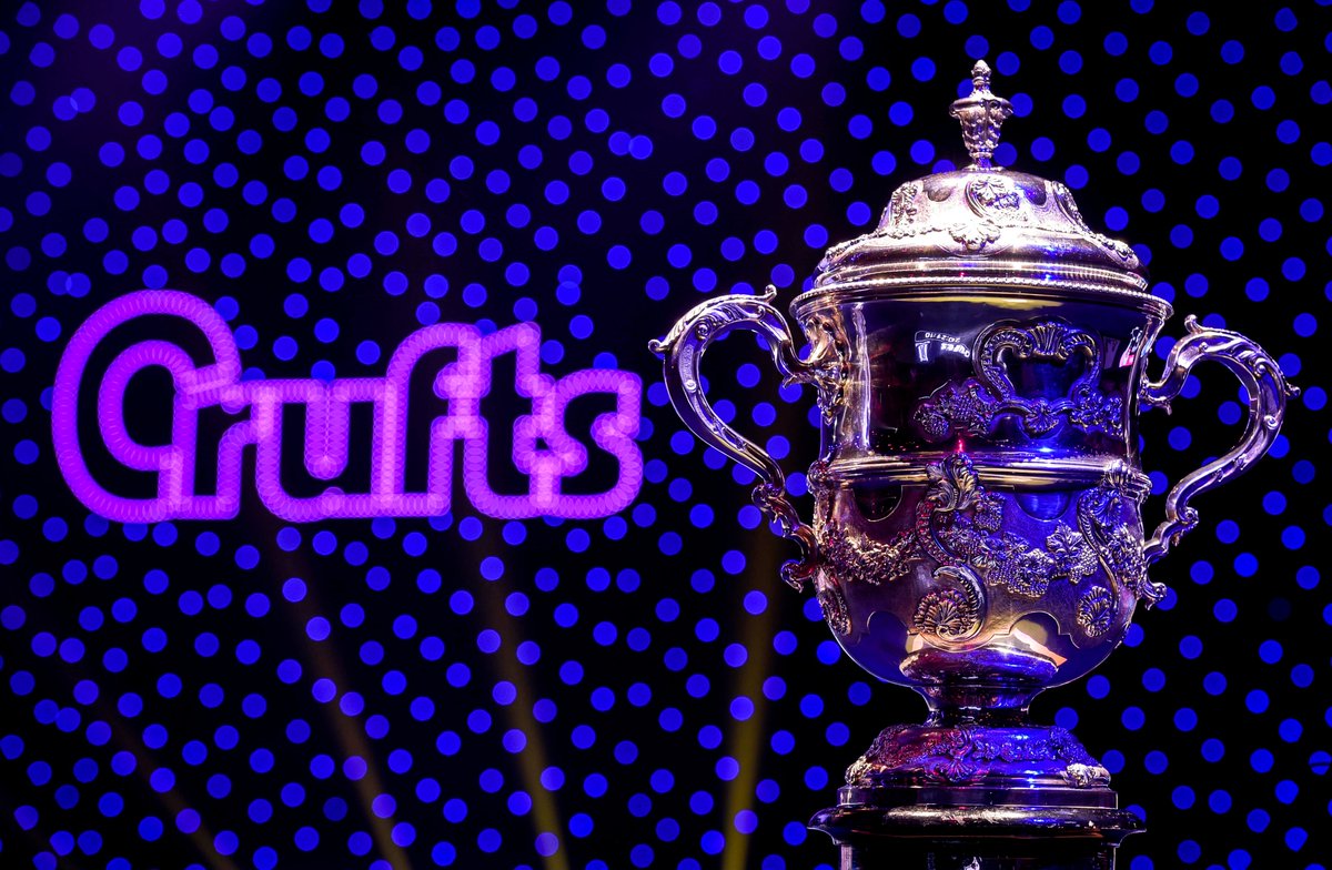 🏆Win the ultimate #Crufts experience from our major sponsor @agriapetuk 🏆

2 x entry tickets for Sunday 8th March
PLUS 2 x Best in Show tickets
PLUS £100 to spend at the show

Retweet to be in with a chance of winning!

Tull T&amp;C's: bit.ly/2VuJyw7 (closes 4/3/20)