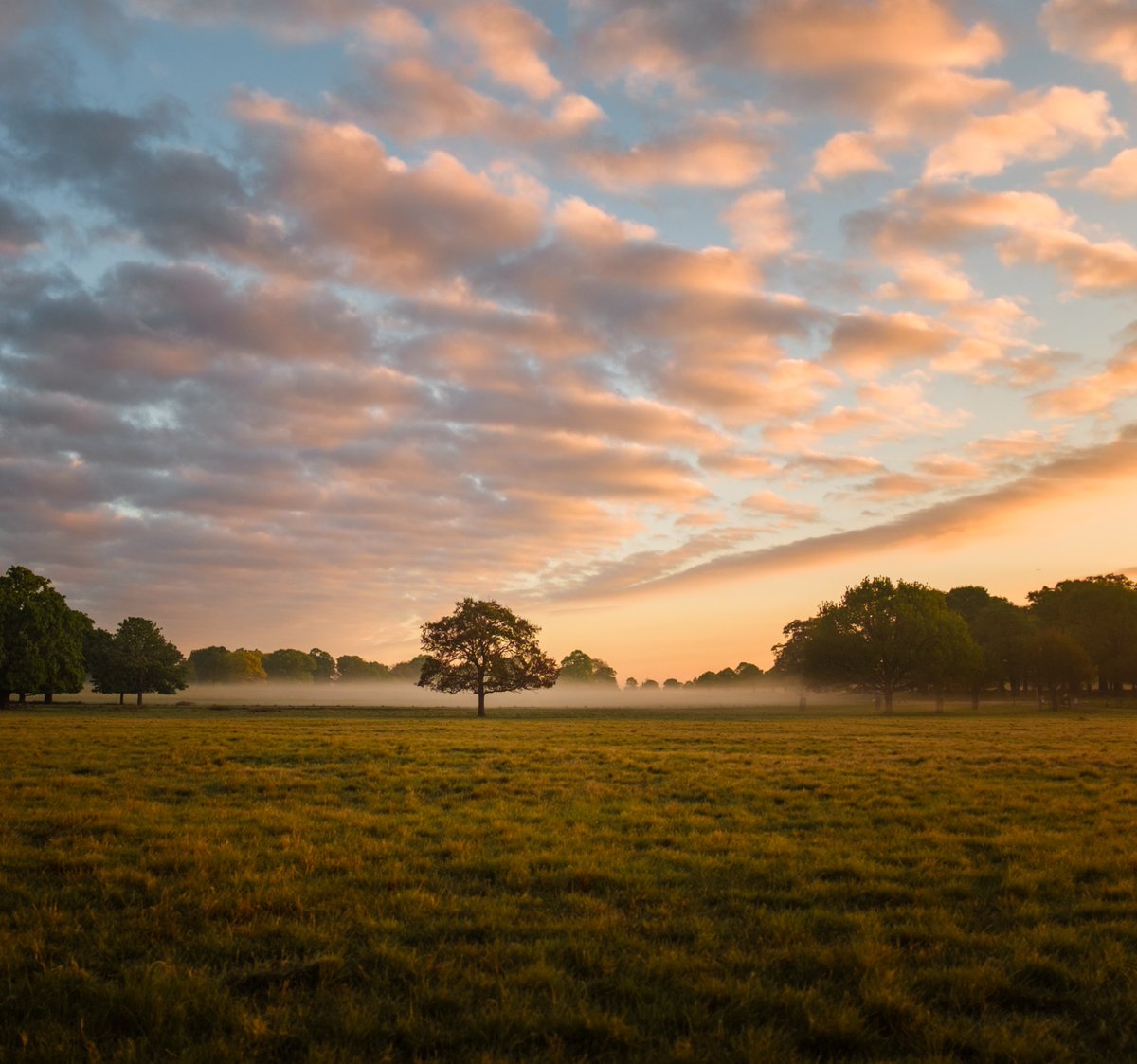 artsrichmonduk's tweet photo. Today's mention is #Richmond #U3A. With 1300+ members & varied events/groups. Join them 25 March, 14.30 for "Why is the Earth’s surface the temperature it is?" with Michael de Podesta @Protons4B > https://t.co/HOsDpcrL7j #LearningNotLonely @U3A_UK 📷: Simon Wilkes @unsplash https://t.co/91wlNCdzoI