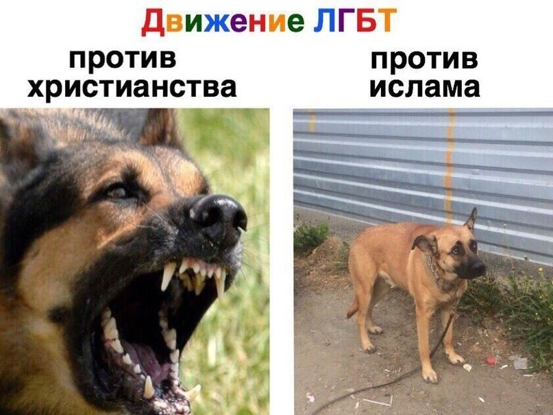 ER3wP-pXYAEtym9?format=png&name=900x900