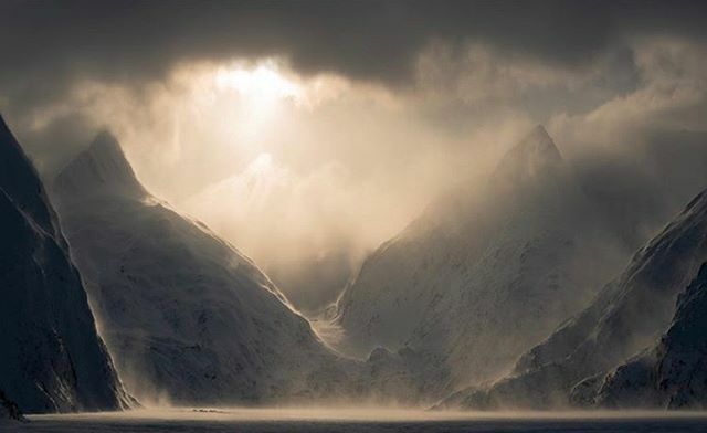 OP/TECH USA tweet media