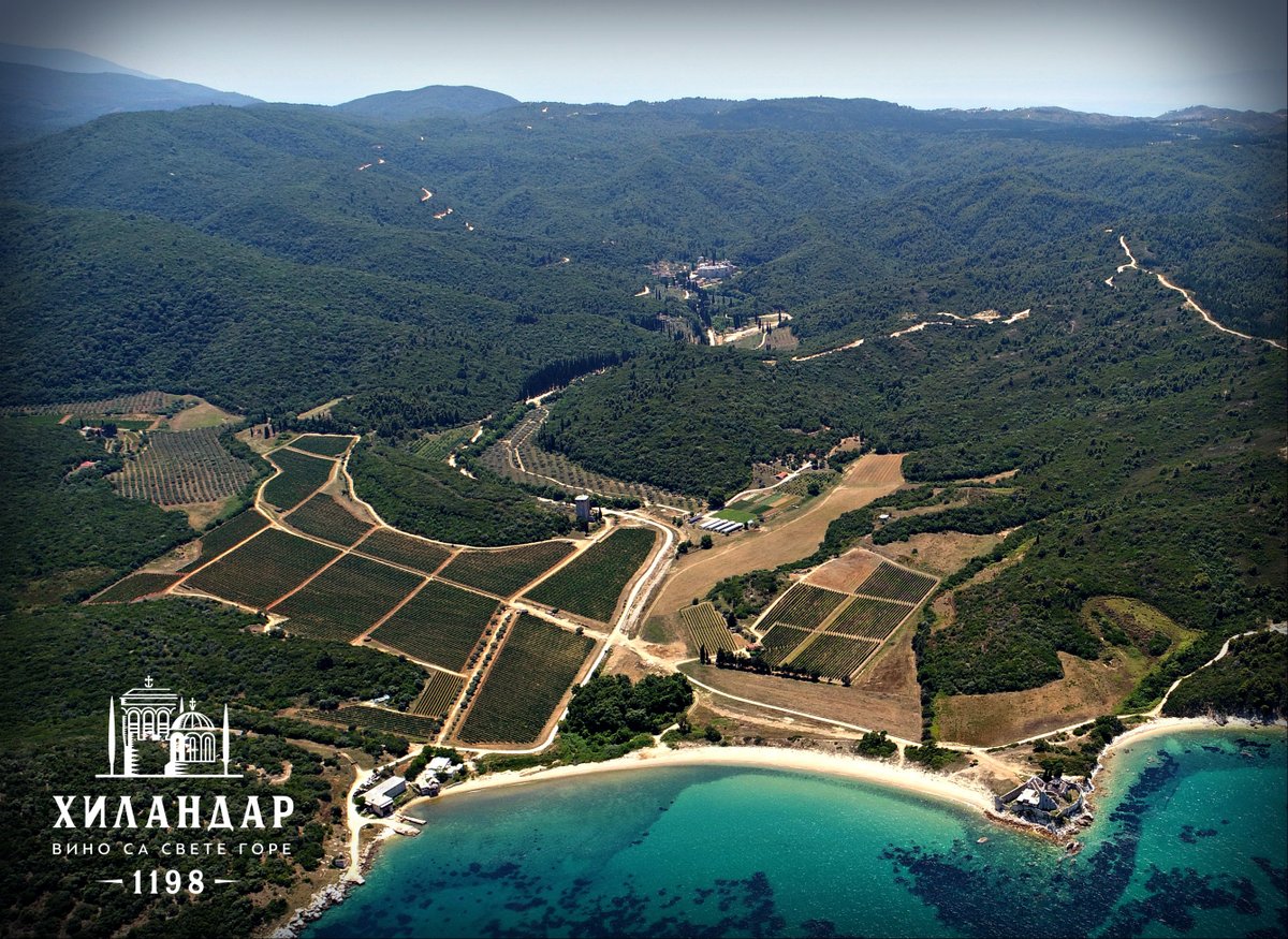 vinohilandara's tweet photo. Поглед од мора, преко винограда на Савином пољу, до Манастира Хиландара.
#ВиноХиландара #Hilandar #vino #greekwine #serbianwine #Хиландар #HilandarWine https://t.co/To6sTr48Ra