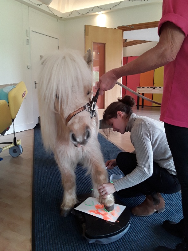 Shooting Star Children's Hospices tweet media