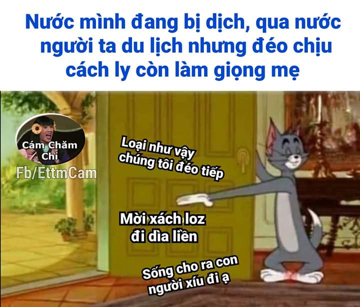 Thái Nguyễn Hoà Việt tweet media