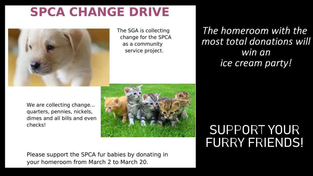 First Flight Middle School (@ffmsseahawks) on Twitter photo 