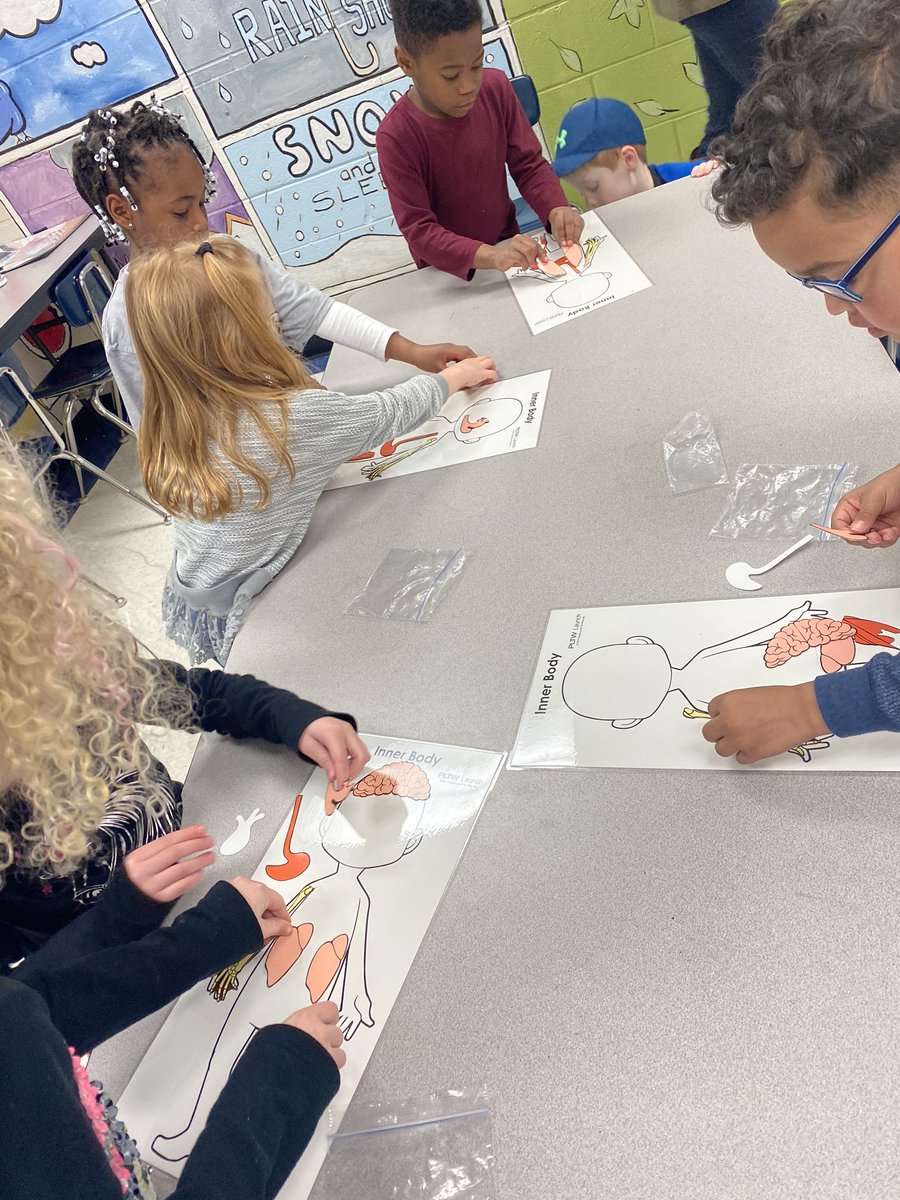 Mrs. B’s and Mrs. Goodwin’s Kindergarten classes <a href="/RivertonElem/">Riverton Elementary School</a> learned about the structure and function of different parts of the human body. <a href="/PLTWorg/">Project Lead The Way</a> <a href="/MadCoSchools/">MadCoSchools</a> <a href="/rebeccancourt/">Rebecca</a> #IgniteExcellenceMCSS