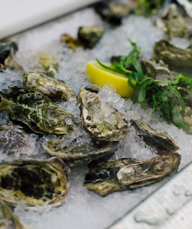 Kickoff the weekend with dollar oysters and your favorite pours! Happy Hour starts at 3 pm… What are you waiting for?!