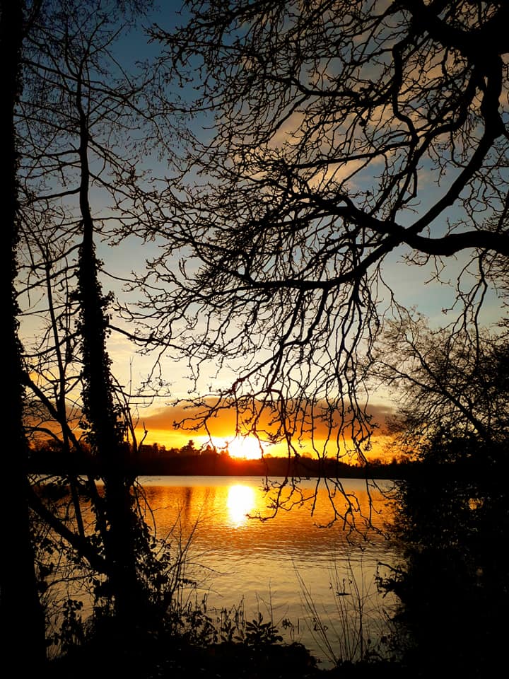 VisitELLESMERE's tweet photo. Planning on visiting us? We only have the best of the best on our doorstep! Burlton Cottages is perfectly set twixt #Shrewsbury & #Ellesmere for the best of all things North #Shropshire Gold Award 2020: the best getaway in the Midlands #staycation CLICK ➡️ https://t.co/VHtXbFziHy https://t.co/ovNvNscZ7o