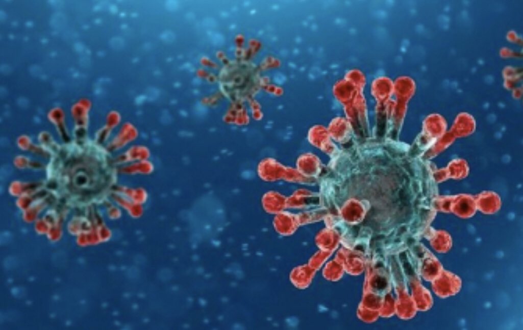 21Pasco's tweet photo. #CORONAVIRUS : 3 premiers patients diagnostiqués et pris en charge au @chu_angers annonce à l’instant l’@ars_pdl 
Trois membres d’une même famille mayennaise. Leur état de santé est jugé « rassurant ». 

#Sante #angers @courrierouest #CORONAVIRUSENFRANCE #Coronavid19 https://t.co/WEQYeFSWeW