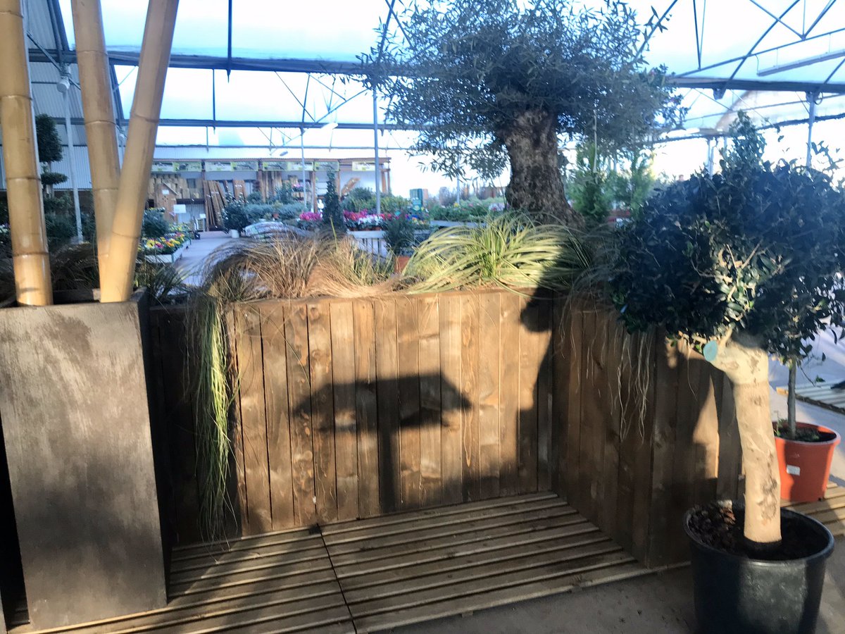 sabatedivina's tweet photo. FILOSOFÍA
#artista y paisajismo nace de la #pasión por las #plantas, los #jardines y la necesidad creciente de crear #espacios #verdes.
#Diseñamos, #reformamos y ejecutamos #jardines en el ámbito #rural en la #ciudad #jardines #áticos, #terrazas https://t.co/Ufs5kmoB18 https://t.co/73iPw9qxH5