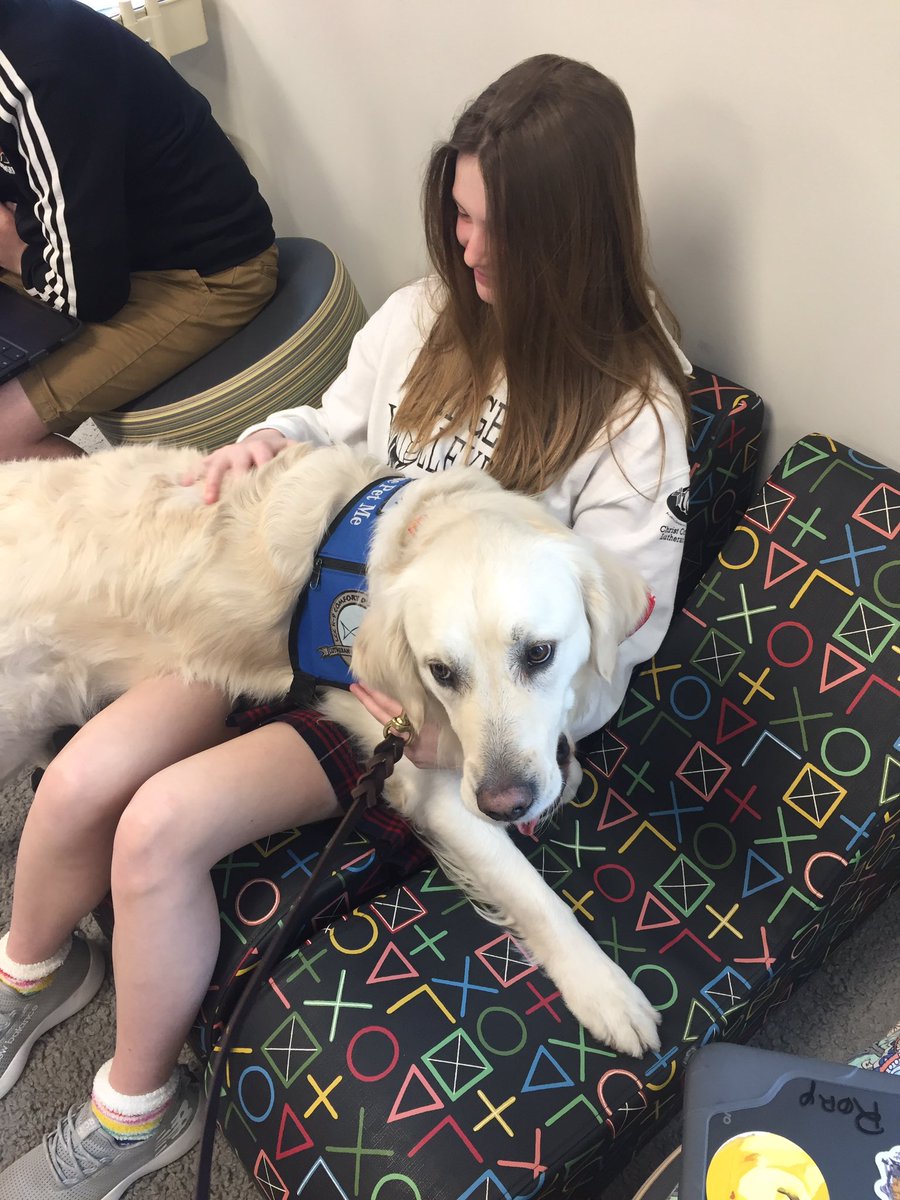 The middle school enjoyed a visit from Zillah Comfort Dog today! <a href="/CCLSChargers/">CCLS - St. Louis</a>
