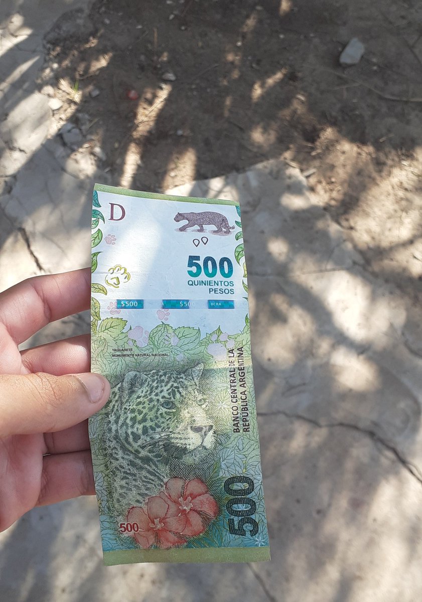 Shei11_'s tweet photo. Rt para encontrarte 500$ como yo🤣 https://t.co/PC1ZgFofok