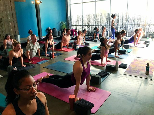 yogafactorytx's tweet photo. Do you enjoy FREE YOGA?!?⁠
⁠
At The Yoga Factory we are all about giving back to our community. That's why every Sunday 4:30 - 6:00 pm we offer a FREE community class at our Dallas studio location. Join us this weekend and see why TYF is the place to… https://t.co/vP6qdJsz2r https://t.co/3RsyqAzNTh