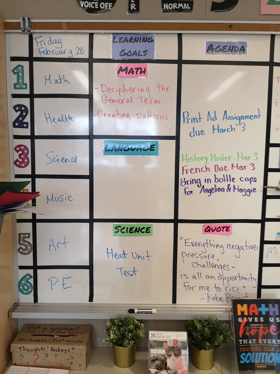 MsWilsonMapleG1's tweet image. 