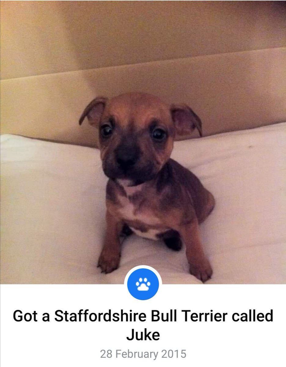 5 years today with my family ❤️🐶