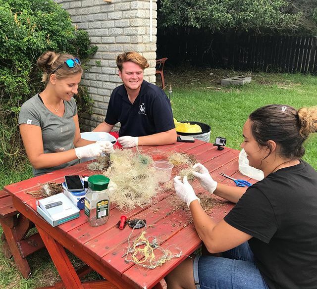 Natures Valley Trust tweet media