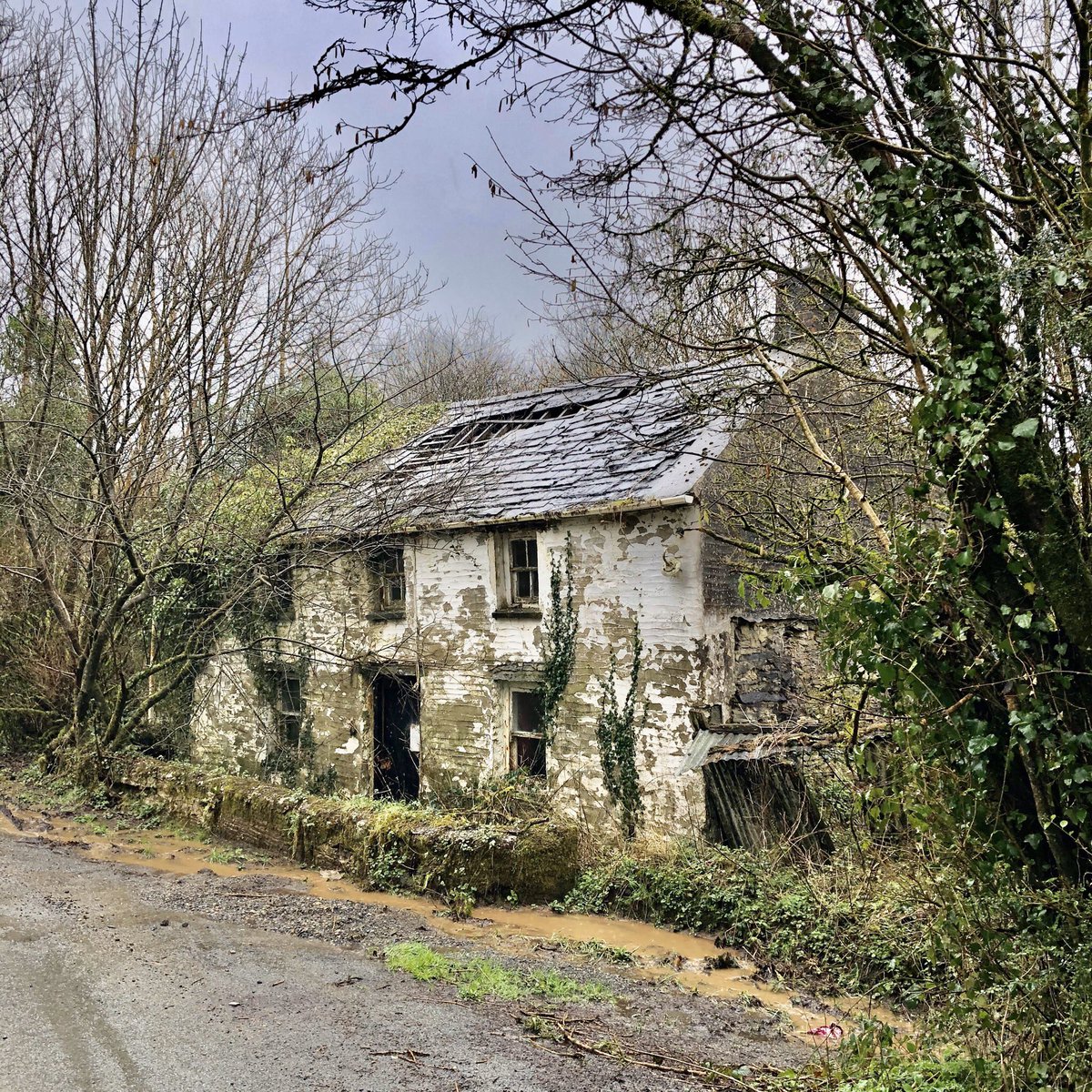 WelshVernacular's tweet photo. Jon &amp; I have been out in the van on a private farmhouse call in #carmarthenshire today and this is one of the derelict cottages that caught our eye.
#welshvernacular #welshvernacularantiques #antiquedealers #husbandandwifelife #derelicthouse #welshcottage #spottedwhilstworking https://t.co/I05JKU6fQS