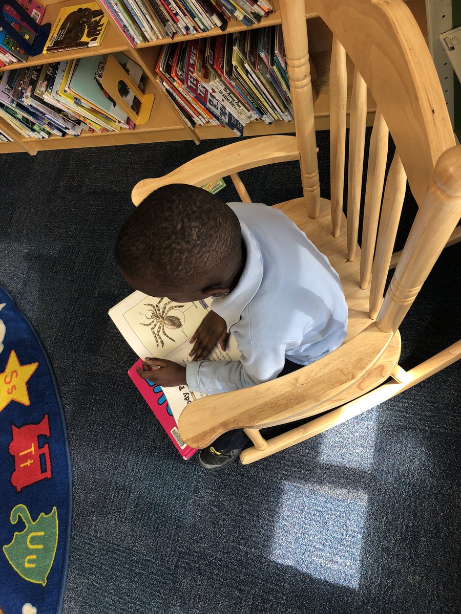 Yorkwoods PS (@yorkwoodsps) on Twitter photo These grade 2 boys were totally engrossed in their animal books, as they explore and research for their upcoming projects! <a href="/LC2_TDSB/">Learning Centre 2</a> <a href="/tdsb_helen/">Helen Fisher</a> These grade 2 boys were totally engrossed in their animal books, as they explore and research for their upcoming projects! <a href="/LC2_TDSB/">Learning Centre 2</a> <a href="/tdsb_helen/">Helen Fisher</a>